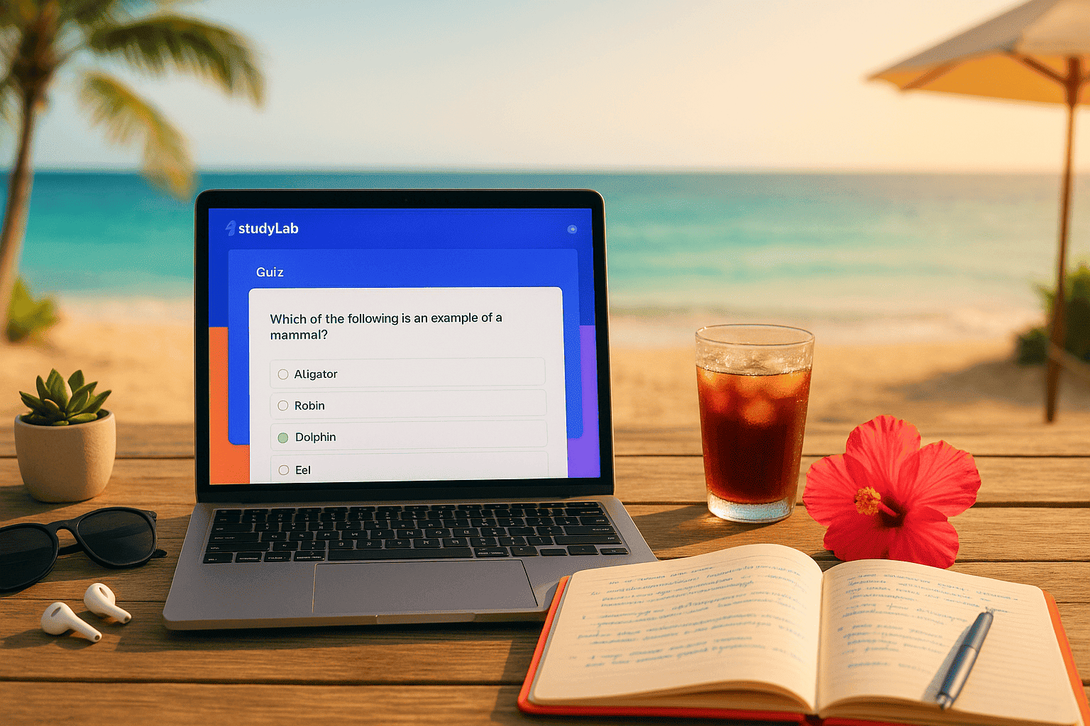 Summer Study Strategy: How to Keep Learning Without Burning Out on Break